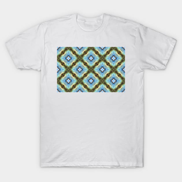 Hanauma Bay Kaleidoscope 20 T-Shirt by mariakeady